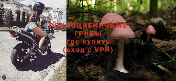ГАЛЛЮЦИНОГЕННЫЕ ГРИБЫ Белокуриха