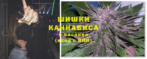 ГАЛЛЮЦИНОГЕННЫЕ ГРИБЫ Белокуриха