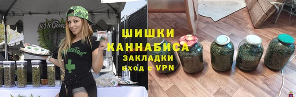 ГАЛЛЮЦИНОГЕННЫЕ ГРИБЫ Белокуриха
